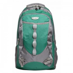 Aqsa ALB54 Stylish Laptop Bag (Green and Grey)
